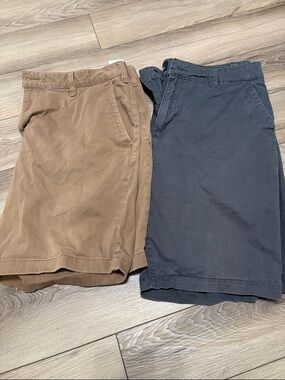 Classic Men's Chino Shorts in Brown and Navy